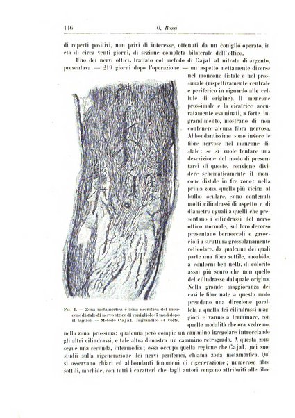 Rivista di patologia nervosa e mentale