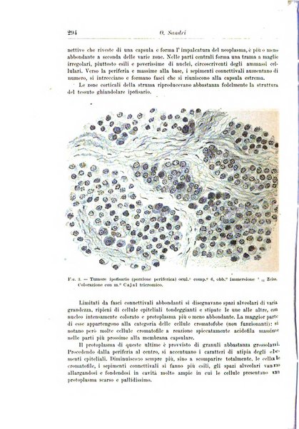 Rivista di patologia nervosa e mentale