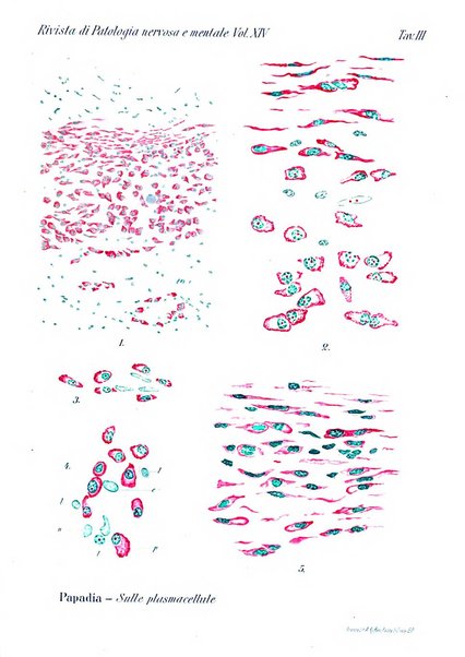 Rivista di patologia nervosa e mentale