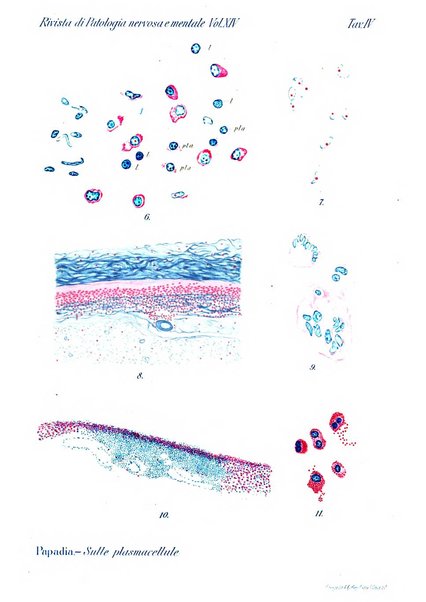 Rivista di patologia nervosa e mentale