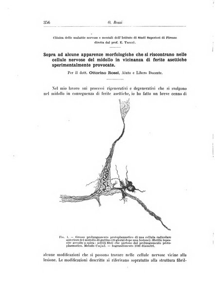 Rivista di patologia nervosa e mentale