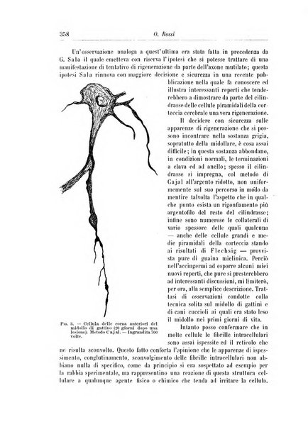 Rivista di patologia nervosa e mentale