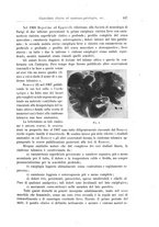 giornale/CFI0298588/1909/unico/00000515