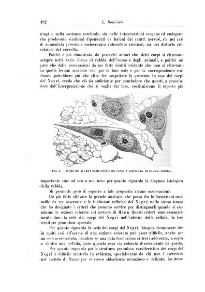 Rivista di patologia nervosa e mentale