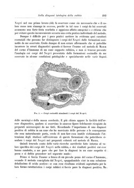 Rivista di patologia nervosa e mentale