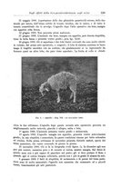giornale/CFI0298588/1909/unico/00000615