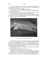 giornale/CFI0298588/1909/unico/00000616