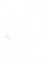 giornale/CFI0298588/1910/unico/00000004
