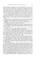 giornale/CFI0298588/1910/unico/00000023