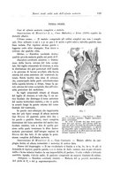 giornale/CFI0298588/1910/unico/00000167