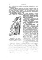 giornale/CFI0298588/1910/unico/00000170