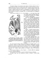 giornale/CFI0298588/1910/unico/00000178