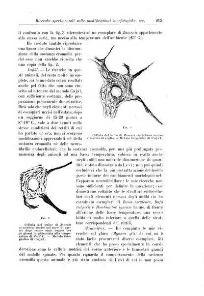 Rivista di patologia nervosa e mentale