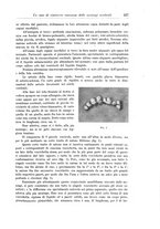 giornale/CFI0298588/1910/unico/00000249