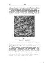 giornale/CFI0298588/1910/unico/00000382