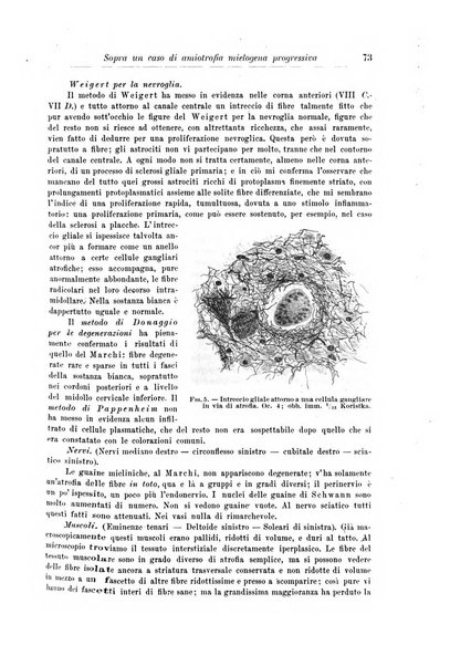 Rivista di patologia nervosa e mentale