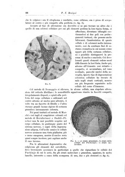 Rivista di patologia nervosa e mentale