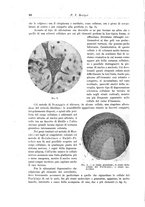 giornale/CFI0298588/1911/unico/00000102
