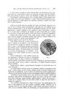 giornale/CFI0298588/1911/unico/00000181