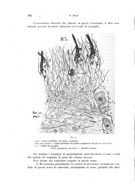 Rivista di patologia nervosa e mentale