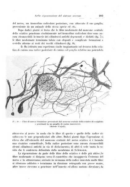 Rivista di patologia nervosa e mentale