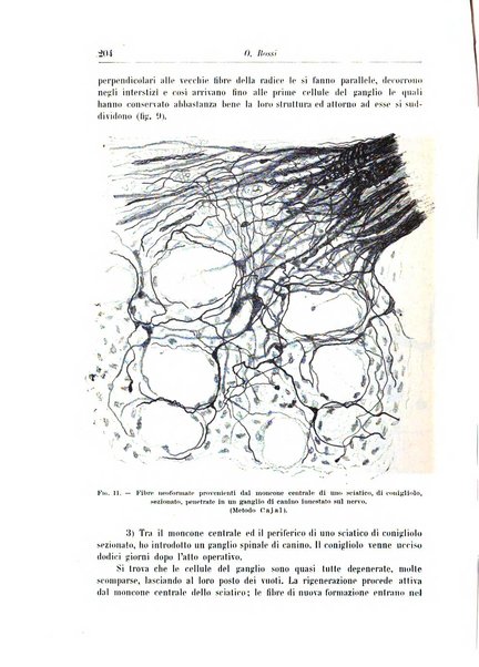 Rivista di patologia nervosa e mentale