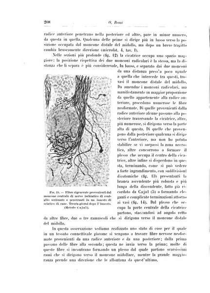 Rivista di patologia nervosa e mentale