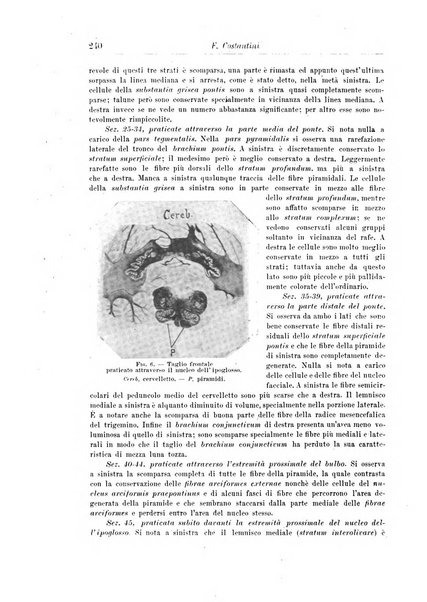 Rivista di patologia nervosa e mentale