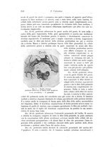 giornale/CFI0298588/1911/unico/00000270