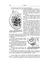 giornale/CFI0298588/1911/unico/00000524