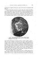 giornale/CFI0298588/1911/unico/00000655