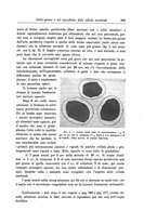 giornale/CFI0298588/1913/unico/00000415