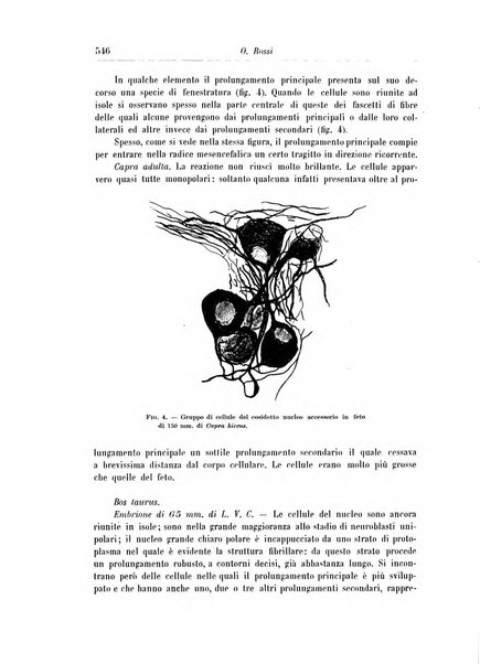 Rivista di patologia nervosa e mentale