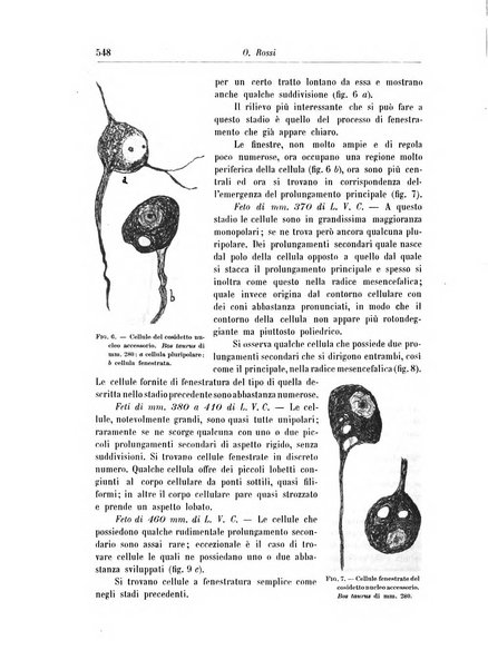 Rivista di patologia nervosa e mentale