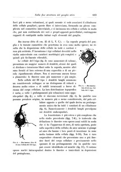 Rivista di patologia nervosa e mentale