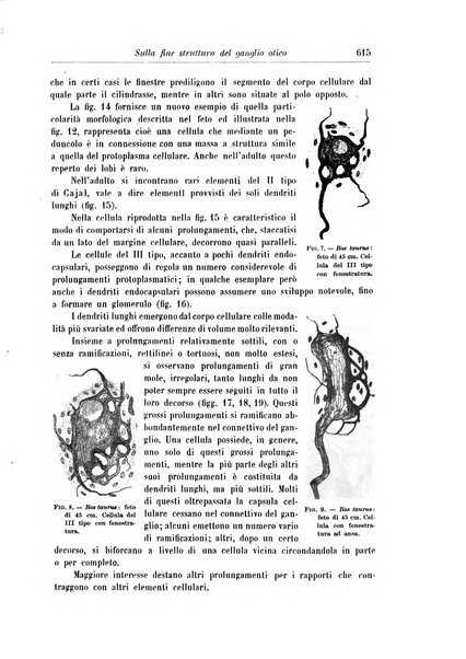 Rivista di patologia nervosa e mentale