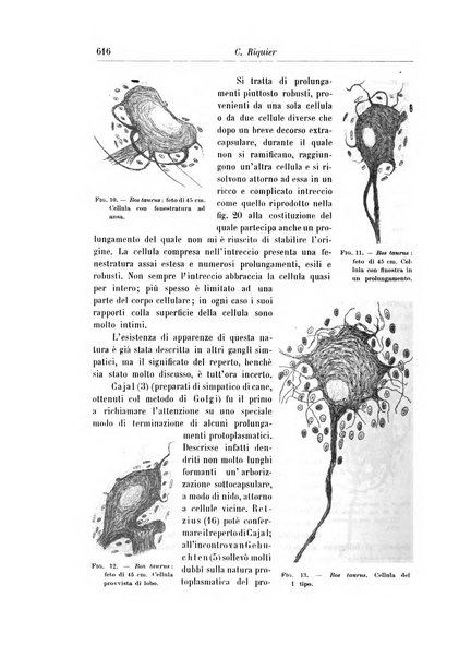 Rivista di patologia nervosa e mentale