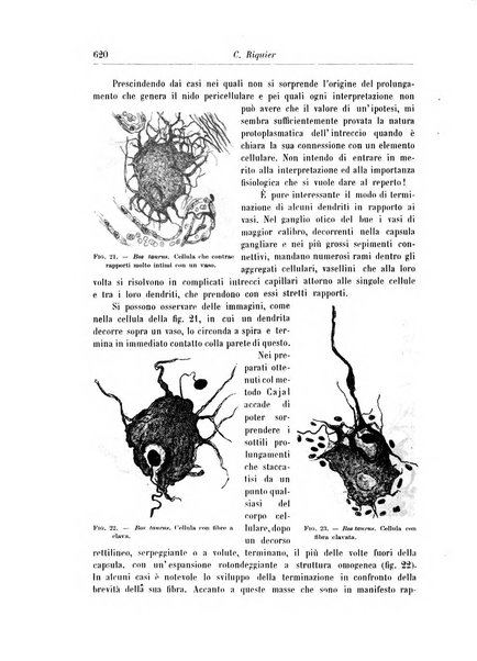 Rivista di patologia nervosa e mentale