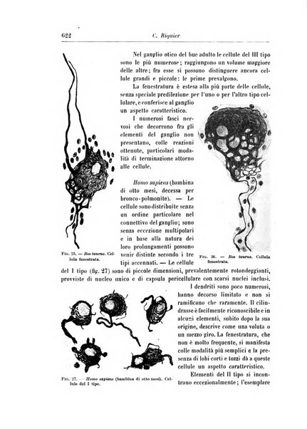 Rivista di patologia nervosa e mentale