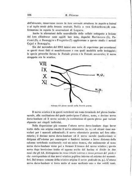 Rivista di patologia nervosa e mentale