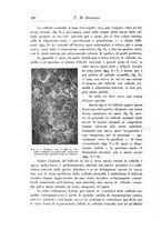 giornale/CFI0298588/1914/unico/00000470