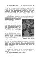 giornale/CFI0298588/1914/unico/00000475