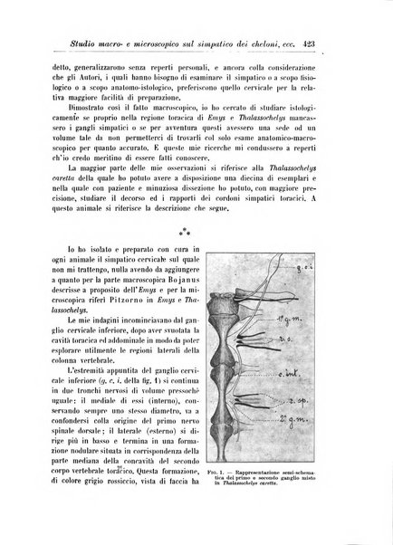 Rivista di patologia nervosa e mentale