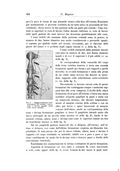 Rivista di patologia nervosa e mentale