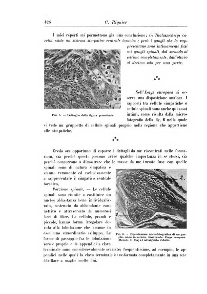 Rivista di patologia nervosa e mentale