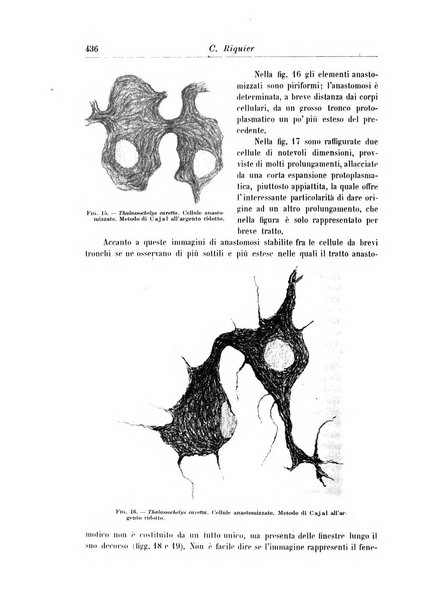 Rivista di patologia nervosa e mentale