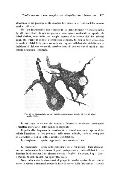 Rivista di patologia nervosa e mentale