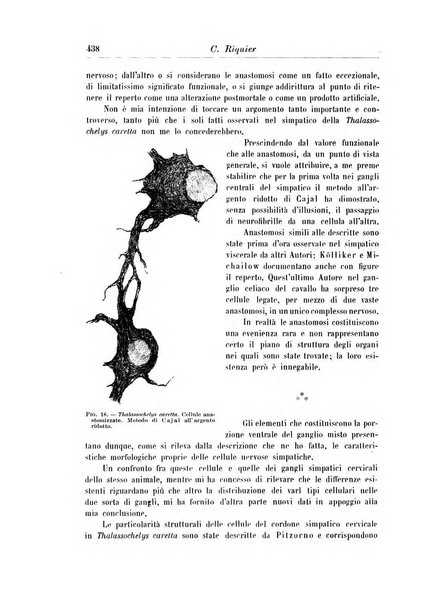 Rivista di patologia nervosa e mentale