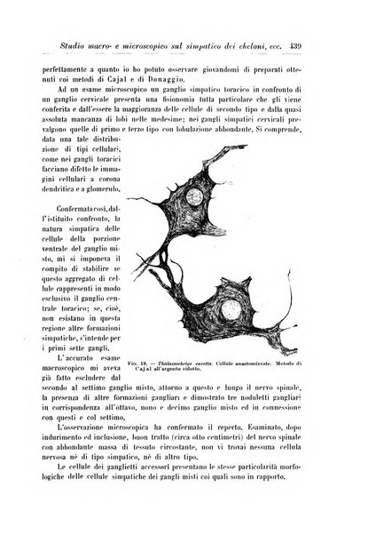 Rivista di patologia nervosa e mentale