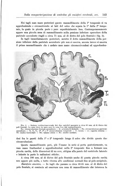 Rivista di patologia nervosa e mentale